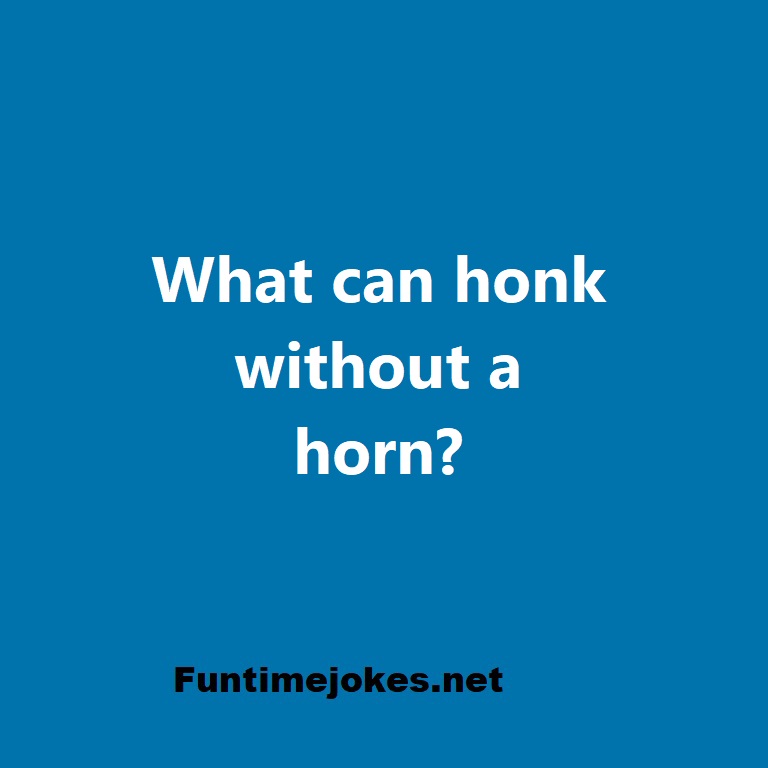What can honk without a horn?