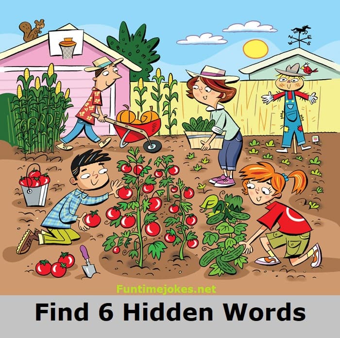 Find six Hidden words riddle