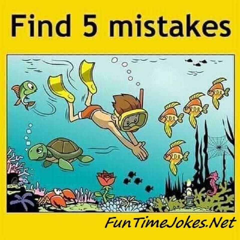 Find the mistake in the picture with answer