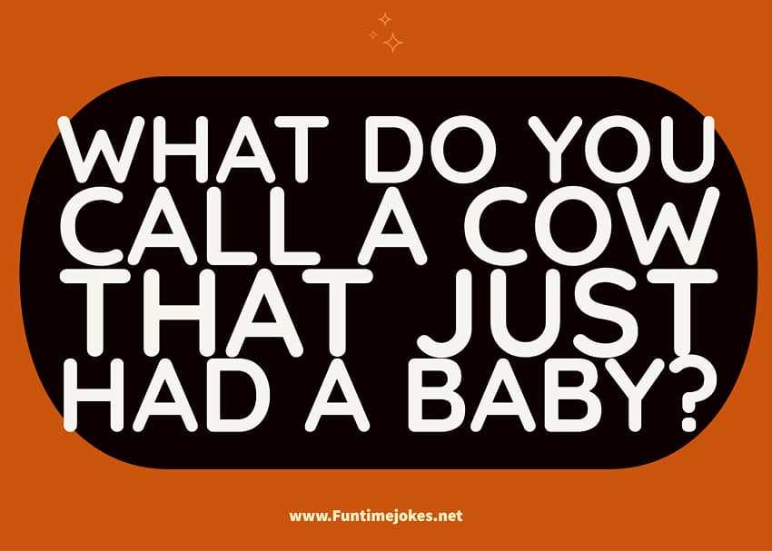 What do you call a cow that just had a baby?